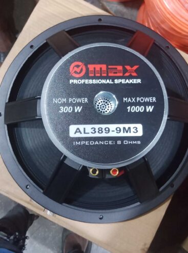 15″ omax speaker big magnet