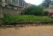 Half Plot Of Land At Beach Road Agric Ikorodu