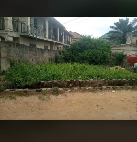 Half Plot Of Land At Beach Road Agric Ikorodu