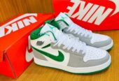 Nike low pro dunk available in stock now