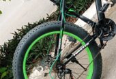 Adults Fat Tyre Bicycle