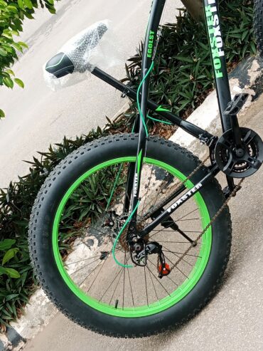 Adults Fat Tyre Bicycle