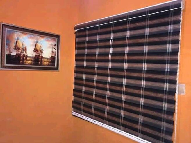 Day n night window blinds