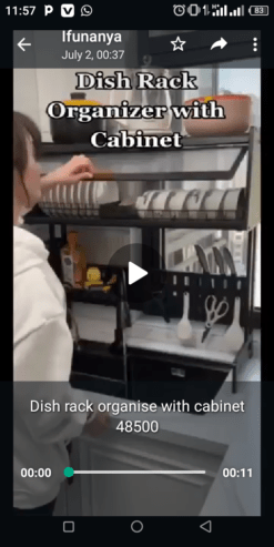 Dish organizer with cabinet