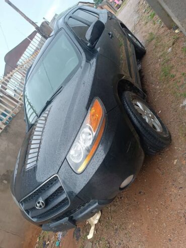 Hyundai Santa Fe 2009 model