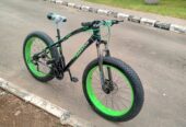 Adults Fat Tyre Bicycle