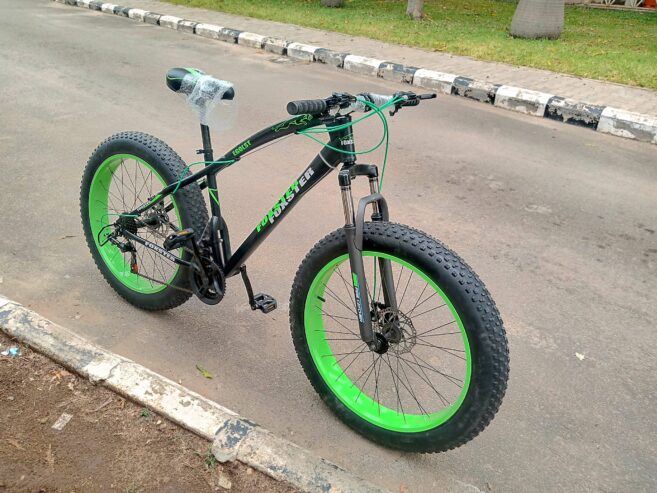 Adults Fat Tyre Bicycle