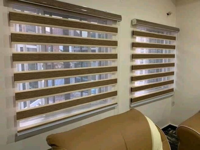 Day n night window blinds