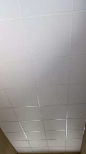 Ceiling Supplier n installation