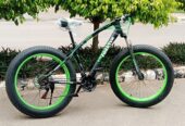 Adults Fat Tyre Bicycle