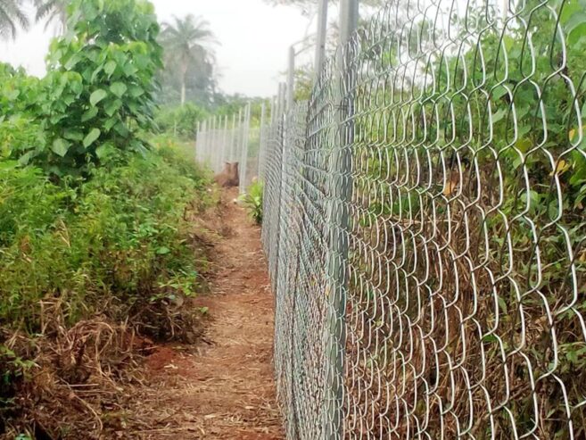 Chainlink fencing wire