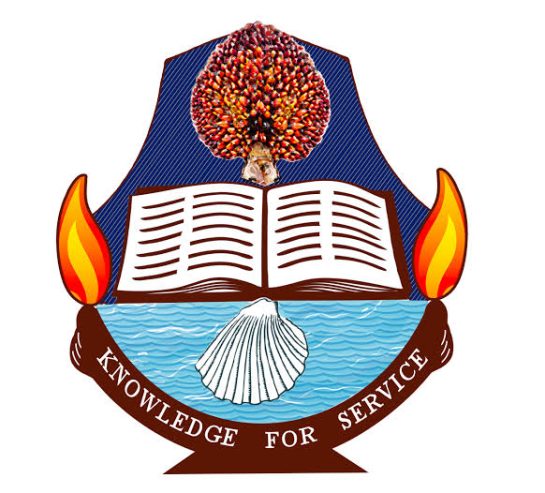 2025/2026 St. Mary School of Nursing (S.O.N) Amaigbo Admissi