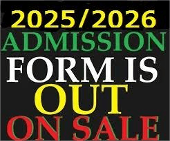 College of Nursing Sciences, Ihiala 2025/2026 Post Utme form