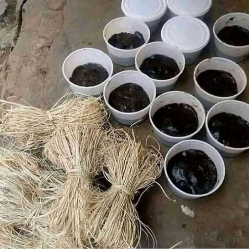 The Best Powerful Juju Herbalist Native Doctor In Nigeria