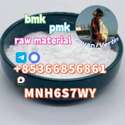 Brand new bmk/pmk factory direct sale raw material