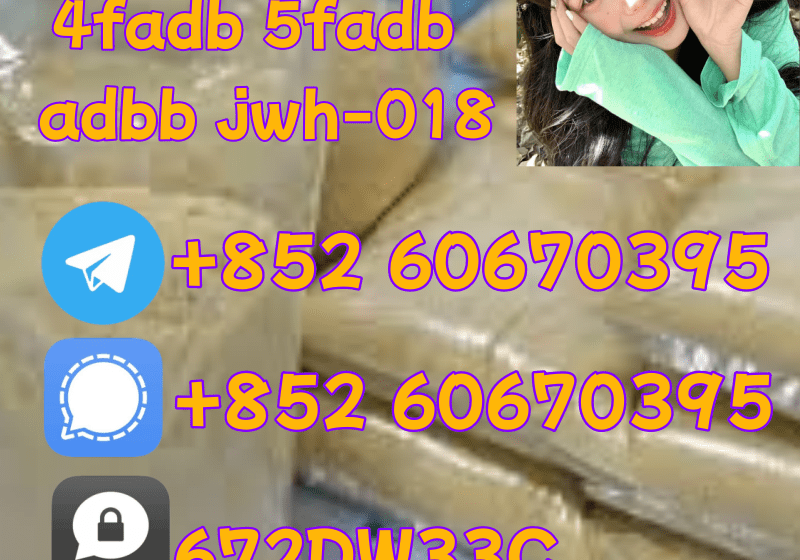 12deeb9b704f23f4a222ea015dc8d7bf