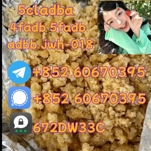 Supply low price 5cladba fast delivery