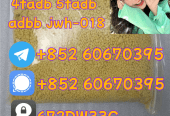 Supply low price 5cladba fast delivery