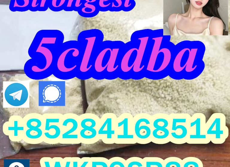 5cladba-powder-1