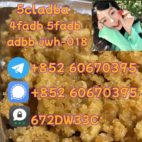 Supply low price 5cladba fast delivery