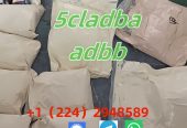 5cladba 5cladb precursor ADBB powder raw materials from Chin