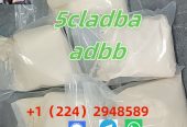 5cladba 5cladb 5CL-ADB free sample vendor
