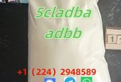 5cladba 5cladb 5CL-ADB free sample vendor