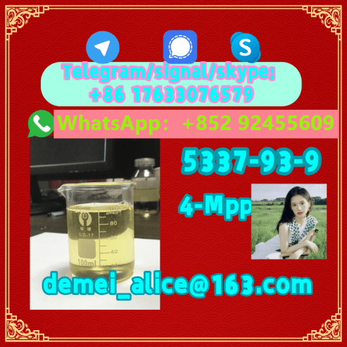 Manufacturer Supply Raw Material CAS 5337-93-9 4-Methylprop