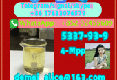 Manufacturer Supply Raw Material CAS 5337-93-9 4-Methylprop