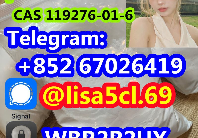 496859405_122135752238613811_3539331018816409289_n
