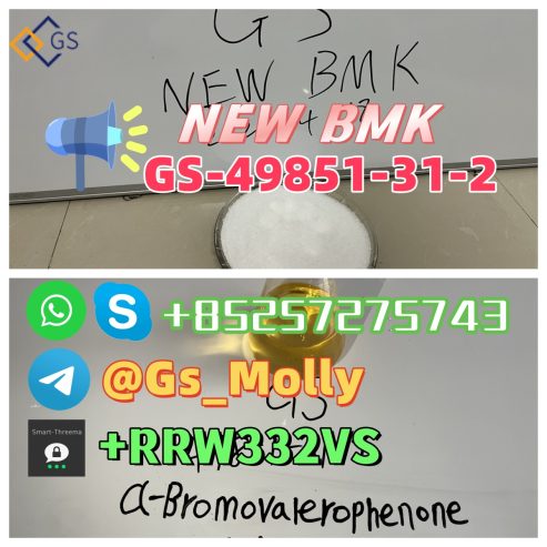 High Quality NEW GS BMK Glycidic Acid (sodium salt) CAS 4985