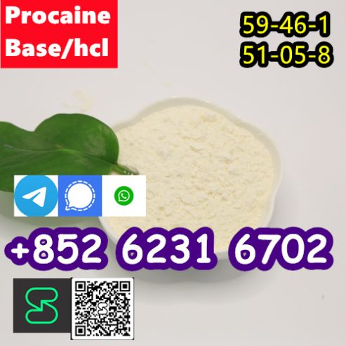 selling Procaine base CAS 59-46-1 /51-05-8 / procaine hcl an