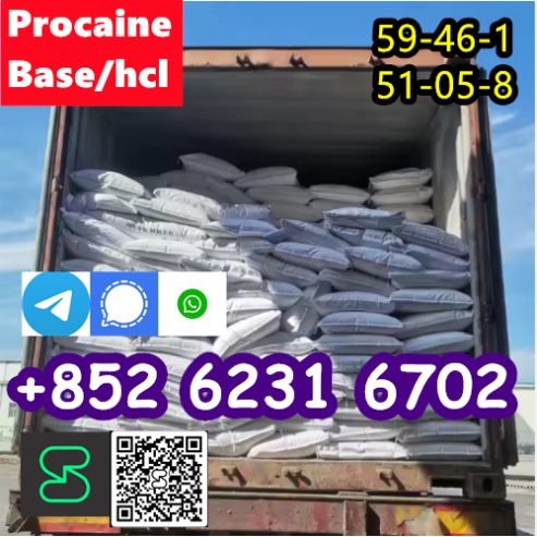 Procaine cas 59-46-1 Procaine hcl cas 51-05-8 china factory