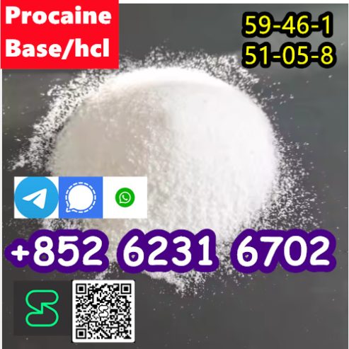 selling Procaine base CAS 59-46-1 /51-05-8 / procaine hcl an