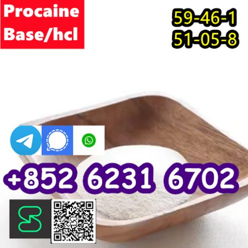 selling Procaine base CAS 59-46-1 /51-05-8 / procaine hcl an