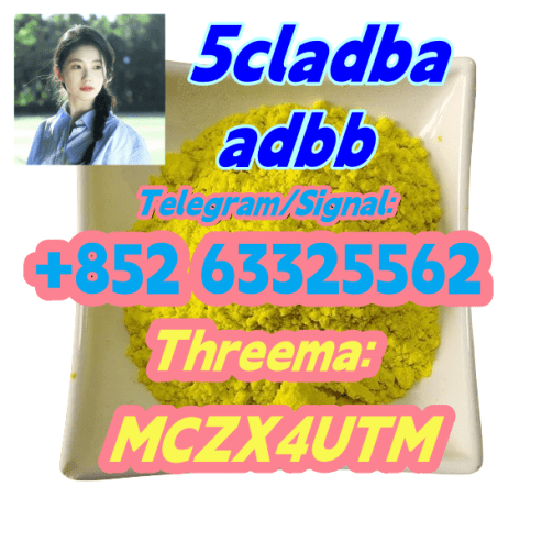 China supplier 5cl 5cladba 5cl by 5cladbb