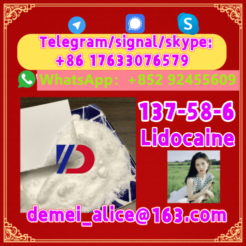 Manufacturer Supply Raw Material CAS 137-58-6 Lidocaine