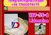 Manufacturer Supply Raw Material CAS 137-58-6 Lidocaine