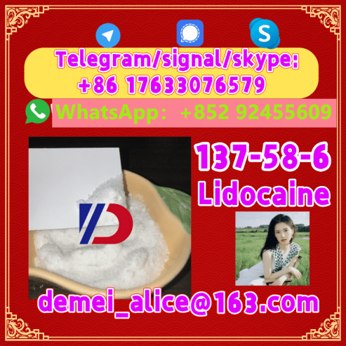 Manufacturer Supply Raw Material CAS 137-58-6 Lidocaine