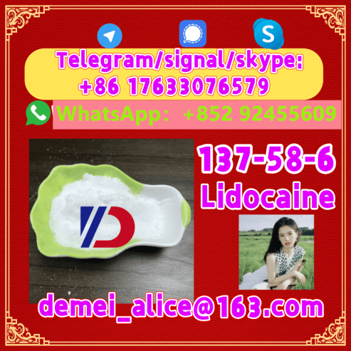 Manufacturer Supply Raw Material CAS 137-58-6 Lidocaine