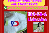 Manufacturer Supply Raw Material CAS 137-58-6 Lidocaine