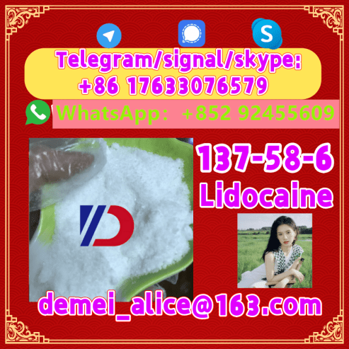 Manufacturer Supply Raw Material CAS 137-58-6 Lidocaine