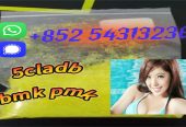 Synthetic cannabinoid 5cladb,5CL-ADB,ADBB +852 54313236
