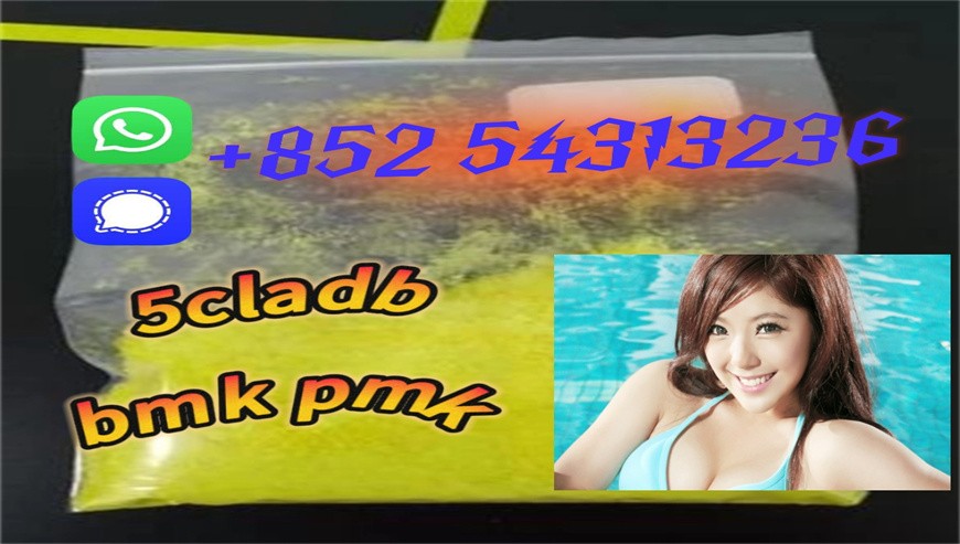 Synthetic cannabinoid 5cladb,5CL-ADB,ADBB +852 54313236