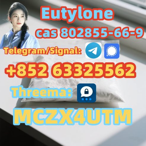 Spot goods CAS 802855-66-9 (Eutylone,A-PVP,2FDCK,MDMA)