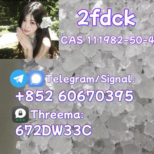 Low price 2fdck China supplier