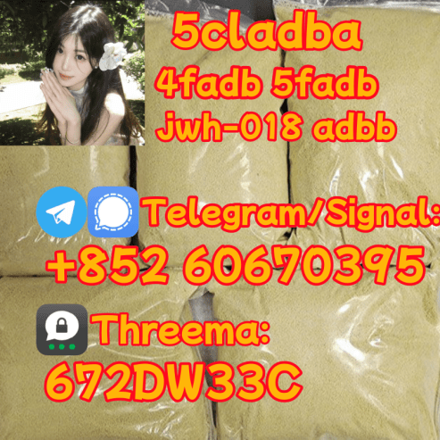 Supply low price 5cladba fast delivery