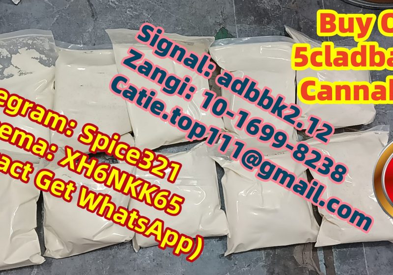 ccbda16e44002c36389e0dfca135a1dd_副本