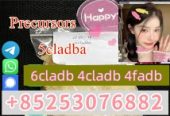 2cladba good quality 5cladba fast shipping low price