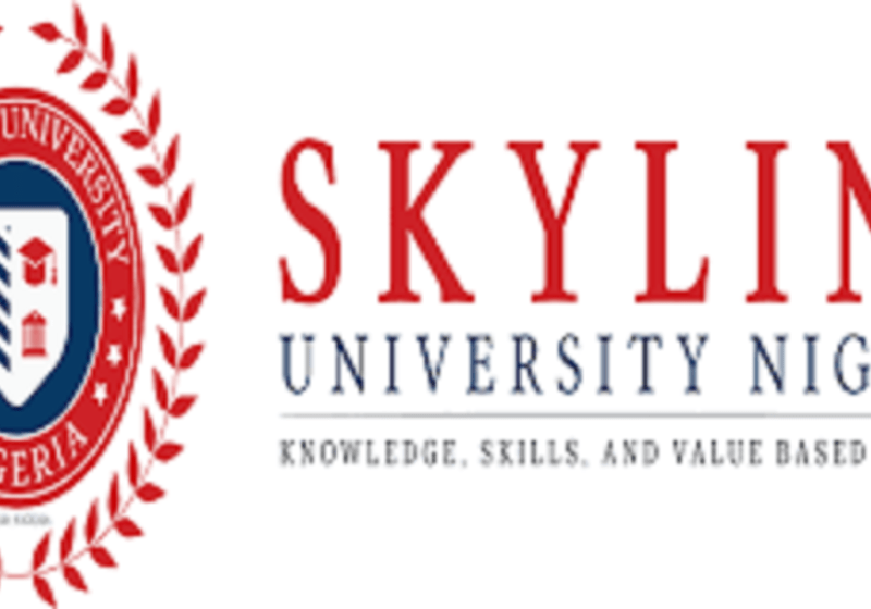 skylink-1